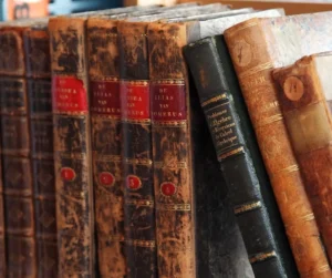 hortalizas y plantas que se pueden sembrar en noviembre en Chile para huertos domésticos